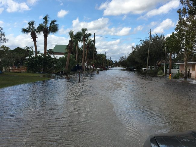 Lantana Avenue in Flagler Beach (Contributed/Andy Dance)