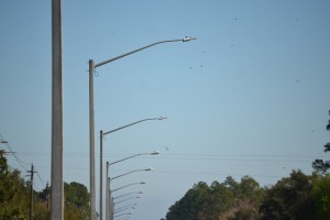 The two lights in the foreground, on Palm Coast Parkway, are the LED variety and produce a white light, the rest are high-pressure sodium vapor, producing an amber light. Click on the image for larger view. (© FlaglerLive)