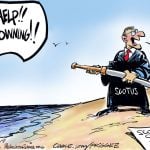 Campaign Finance Laws by Milt Priggee, WeAreGettingScrewed.org