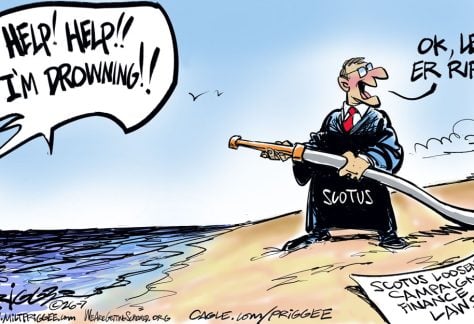 Campaign Finance Laws by Milt Priggee, WeAreGettingScrewed.org