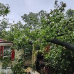 Hurricane Debby damage in Levy County. (LCSO)