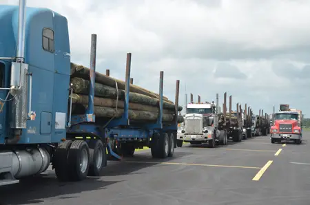 Replacement light poles at the Flagler County airport, where FPL is ramping up a staging operation ahead of Dorian. (© FlaglerLive)
