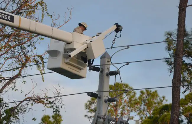 A lineman reconnects a power line this morning on Royal Palms Parkway. (© FlaglerLive)