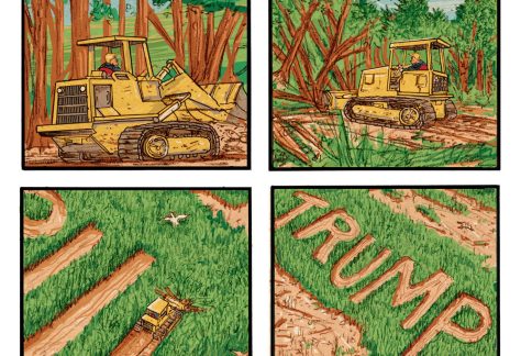 Trump Opens National Forests To Loggers by Peter Kuper, PoliticalCartoons.com