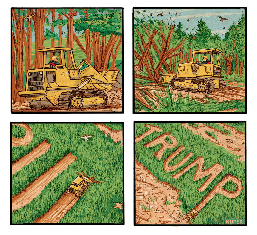 Trump Opens National Forests To Loggers by Peter Kuper, PoliticalCartoons.com