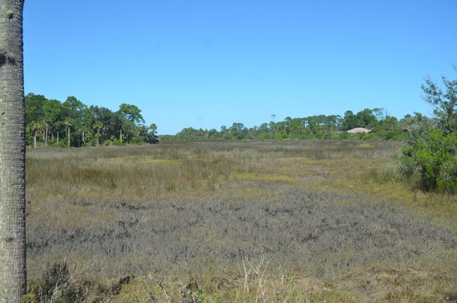 long creek preserve