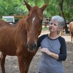 Mary Helene Davis and one of the therapy horses at Whispering Meadows. (© FlaglerLive)