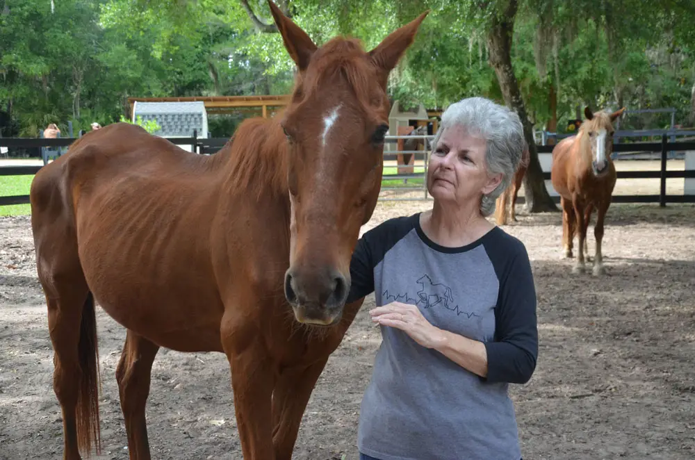 Mary Helene Davis and one of the therapy horses at Whispering Meadows. (© FlaglerLive)