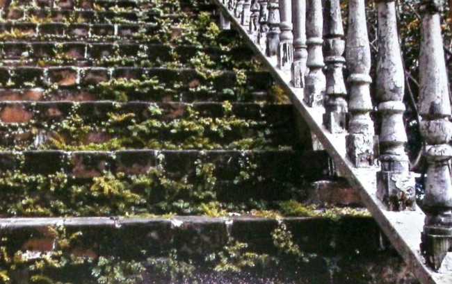 madison-gibbs