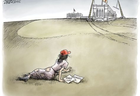 With apologies to Christina. Building the Ballroom by Adam Zyglis, The Buffalo News.