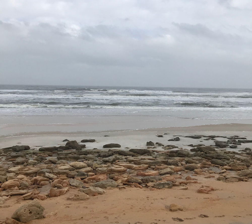 Pants falling down on Jacksonville Beach!  Jacksonville beach, Falling down,  Jacksonville