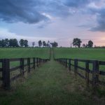 memory of old jack wendell berry