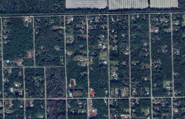 The red dot indicates the Jackson property. The victim's property is diagonal to the north, at 1288 Hazelnut Street, in Daytona North, also known as Mondex. (Google)