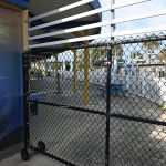Marineland Dolphin Adventure has been in the shadow of its former glory. (© FlaglerLive)