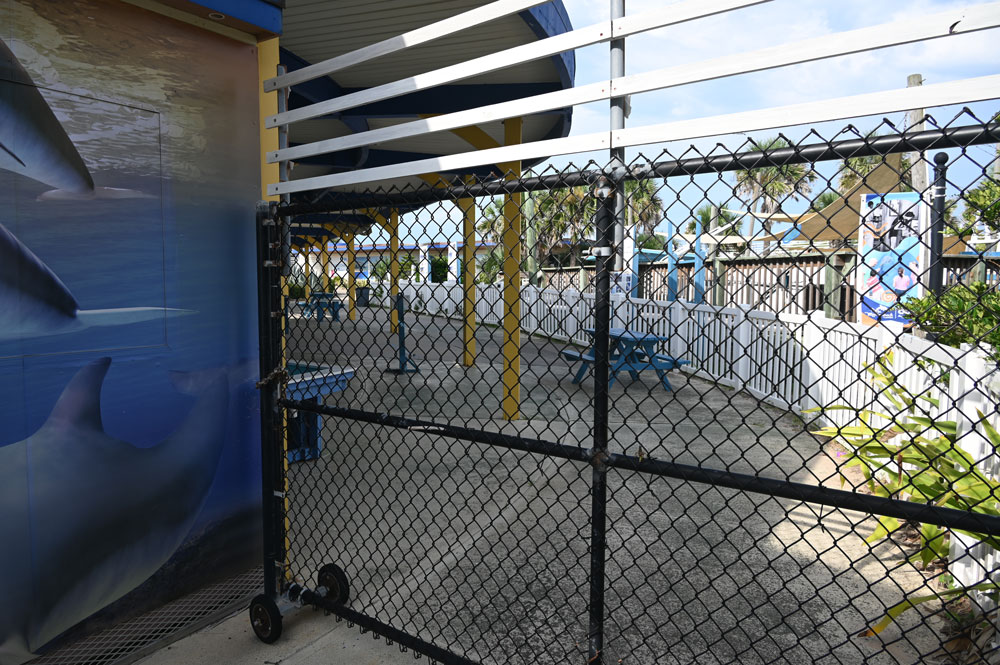 Marineland Dolphin Adventure has been in the shadow of its former glory. (© FlaglerLive)