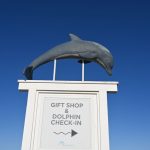 marineland dolphin adventure