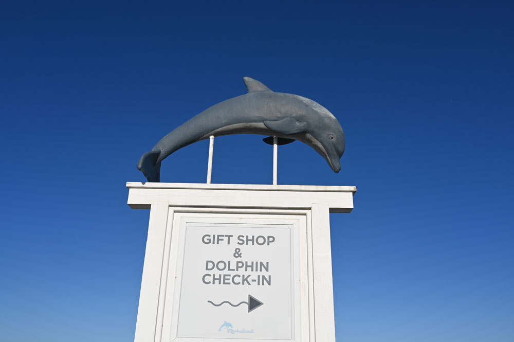 marineland dolphin adventure