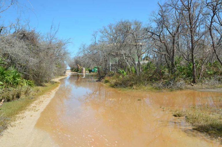 Marineland Acres Improvement Project Enters Final Year FlaglerLive