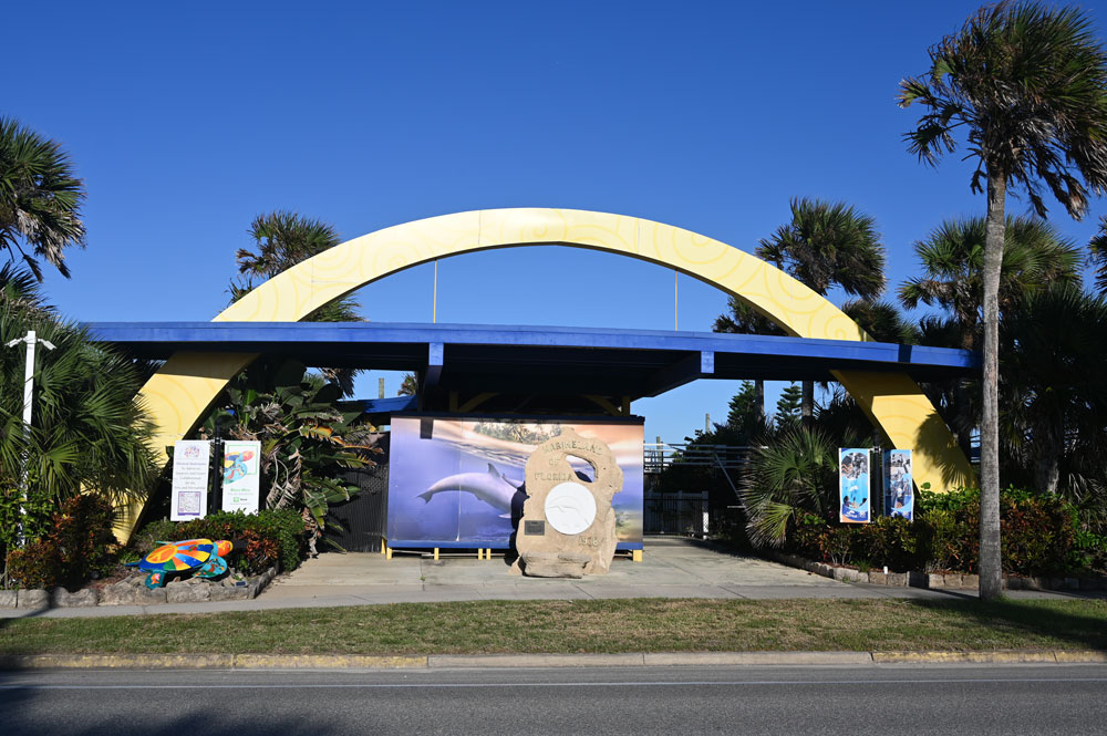 dolphin marineland adventure