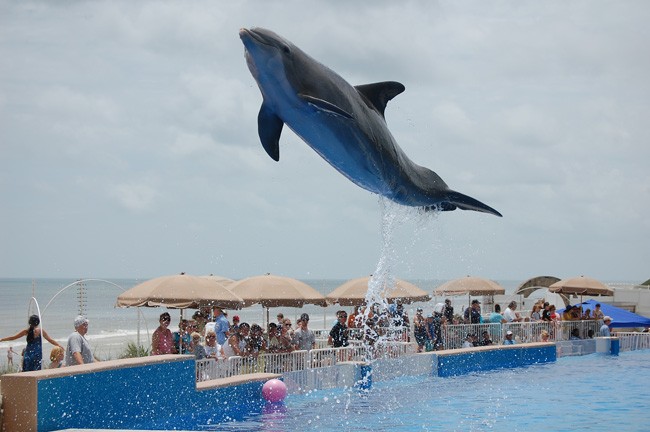 marineland 75 anniversary history