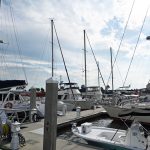 Marineland is hoping to renegotiate the lease with the town marina to stave off a revenue crisis that could force the town to dissolve. (© FlaglerLive)