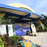 Marineland Dolphin Adventure's days as an oceanarium may be numbered. (© FlaglerLive)