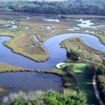 A marsh surrounding the edge of a golf course in Franklintown, Florida. (Florida Memory)