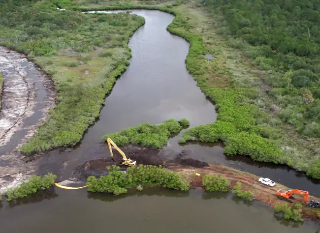 What wetland restoration looks like in St. Johns River Water Management District's briefings.