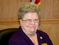 mary distefano palm coast city council