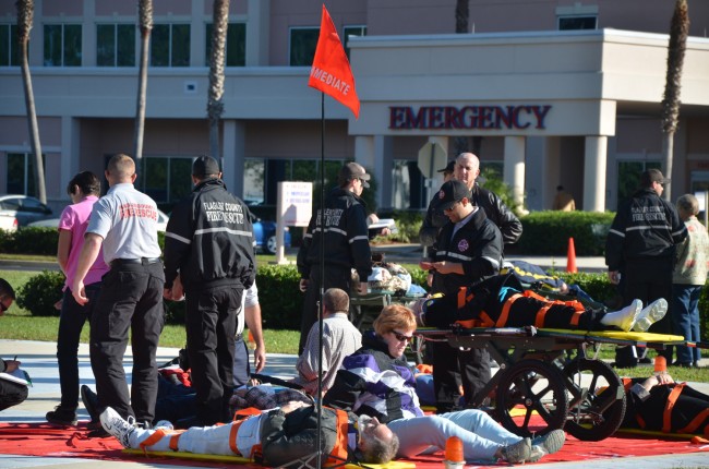 The mass-casualty simulation outside Florida Hospital Flagler Wednesday m orning involved 29 casualties and responders from every local fire department and emergency agency. Click on the image for larger view. (© FlaglerLive)