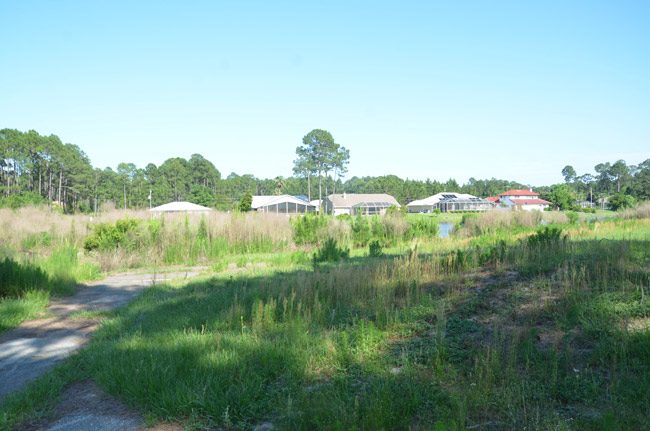 The Matanzas golf course snakes around hundreds of properties in Palm Coast's L Section, at the north end of the city. (© FlaglerLive)