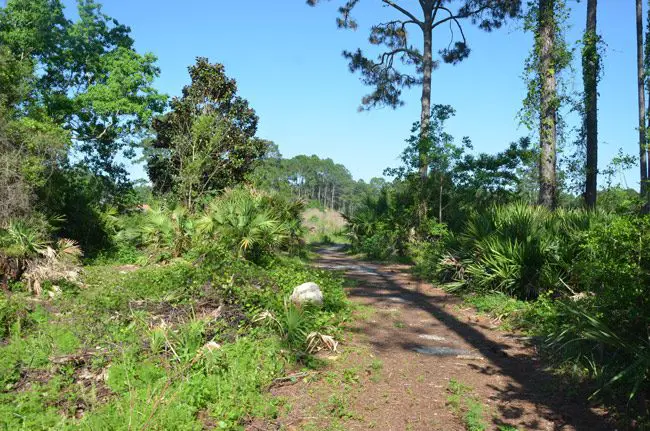 This way to what used to be the Matanzas Golf Course. (© FlaglerLive)