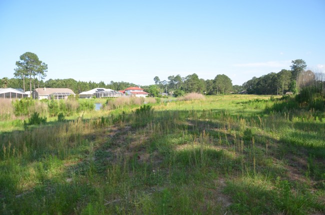 matanzas golf course palm coast