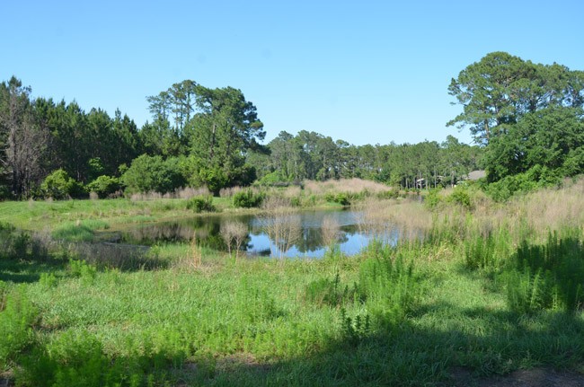 matanzas woods golf