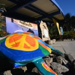 Max the Turtle outside Marineland Dolphin Adventure. (© FlaglerLive)