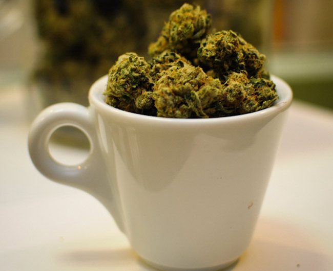medical marijuana florida