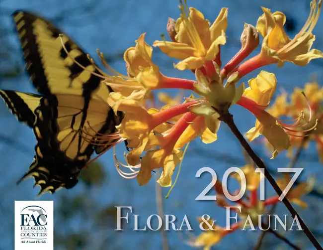Florida Association of Counties 2017 calendar