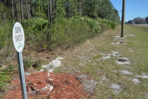 memorial site FDOT