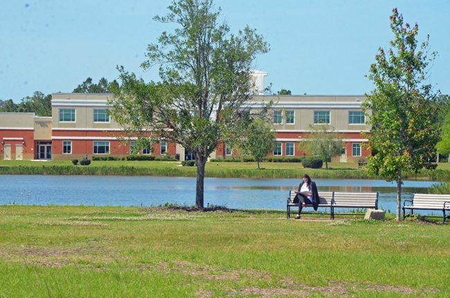 Palm Coast City Hall has been changing since the arrival of City Manager Matt Morton, changes long sought by Mayor Milissa Holland. (c FlaglerLive)