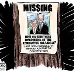 Congressional check and balance missing by Jonathan Brown, PoliticalCartoons.com