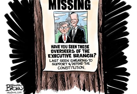 Congressional check and balance missing by Jonathan Brown, PoliticalCartoons.com