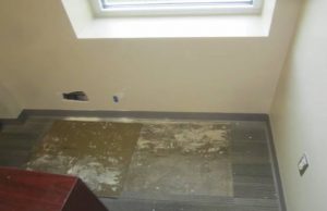 Mold was again found in Room 129, the same room that was supposedly remediated last year, after an analysis had found mold there in December 2017, when employees were first complaining of unhealthy conditions. (Terracon)