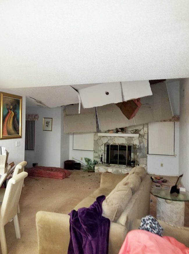 Melinda Morais's home on Palm Coast's Wellshire Lane was among the most heavily damaged by Hurricane Irma when a large tree trunk punctured the roof. (Melinda Morais)