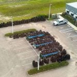 More than 5.8 tons of tires were collected at its during its Tire Amnesty Days event May 29-31. (Mosquito Control District)