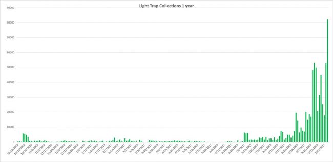 East Flagler Mosquito Control's sampling of the mosquito population over the year shows the proportional surge of the last few weeks. Click on the image for larger view. 