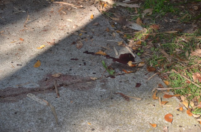 Some of Dana Mulhall's blood stains near his front door, where paramedics had worked on him. Click on the image for larger view. (© FlaglerLive)