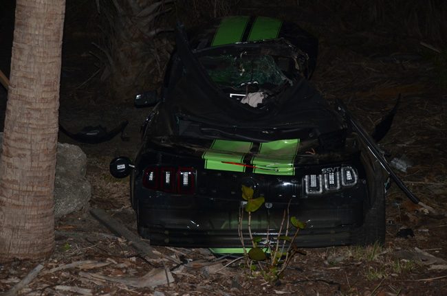 The mustang traveled several hundred feet off the road, taking out a palm tree along the way, before coming to rest at the foot of other trees. (c FlaglerLive)