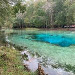 Gilchrist Blue Springs, located about 20 miles northwest of Gainesville, Fla., is a popular recreation site known for the clarity of its water. Christopher Meindl, CC BY