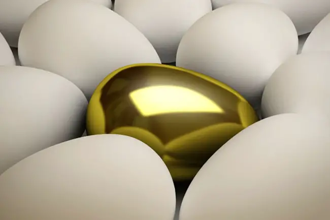nest egg pensions florida