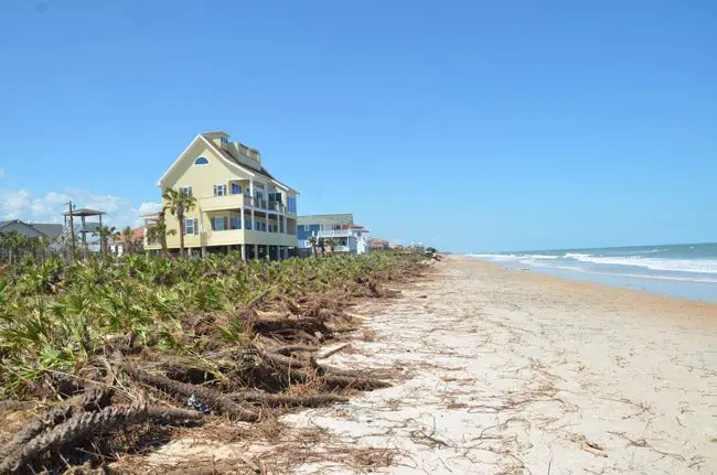 A new Florida law could potentially allow private property owners with beachfront property to put up No Trespassing signs on dry-sand areas of the beach, above the mean high-tide waterline, countering decades of customary use of the beaches--and prohibitions of such signs in Flagler. (© FlaglerLive)